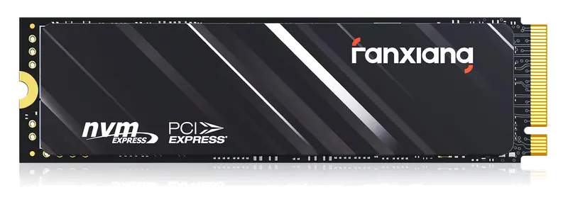 fanxiang M.2 SSD 1TB,NVMe SSD con disipador térmico